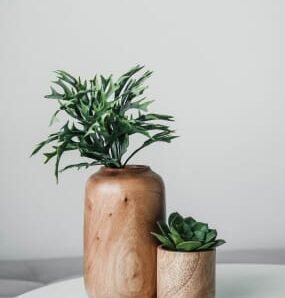 Wooden Greenery